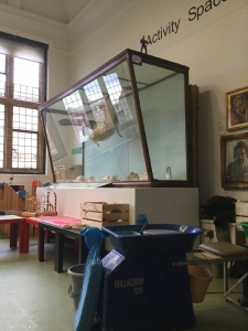 albert the albatross at worcester city art gallery and museum