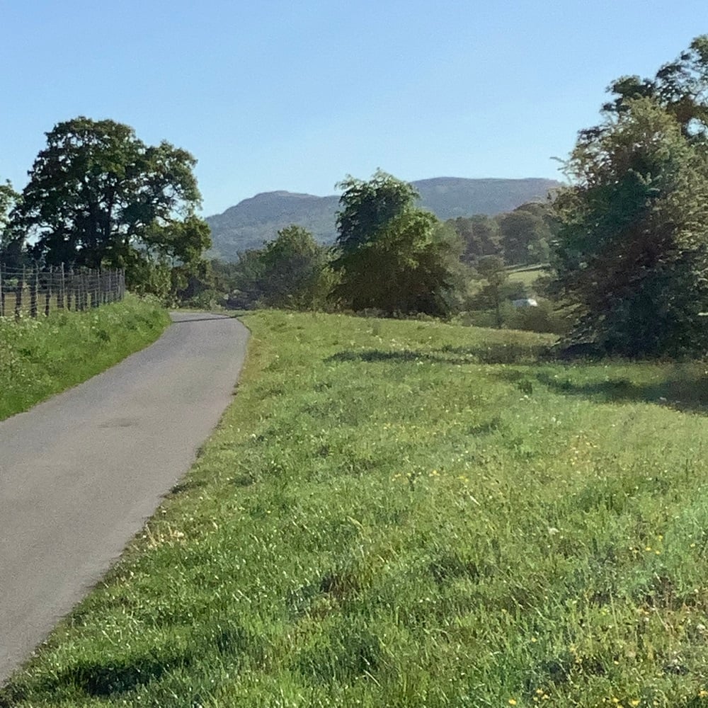 The deer park at Eastnor, a path with field and trees