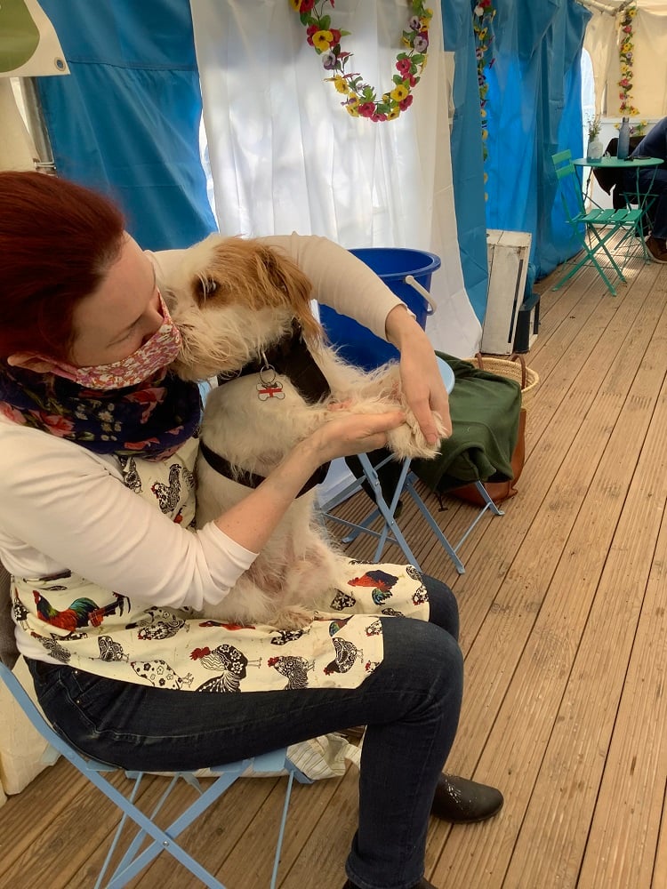 ted the potting dog learning throwing skills at pottery