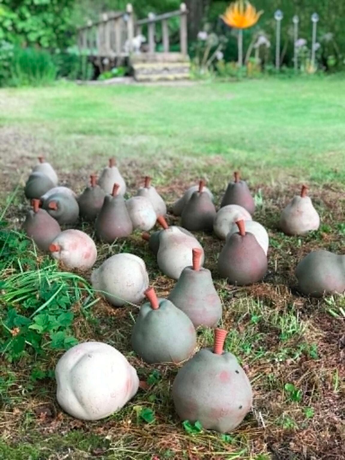 Ceramic pears by jon williams exhibited under a tree at fresh air sculpture the last blast in the costwolds 2026. each pear is about the size of a football