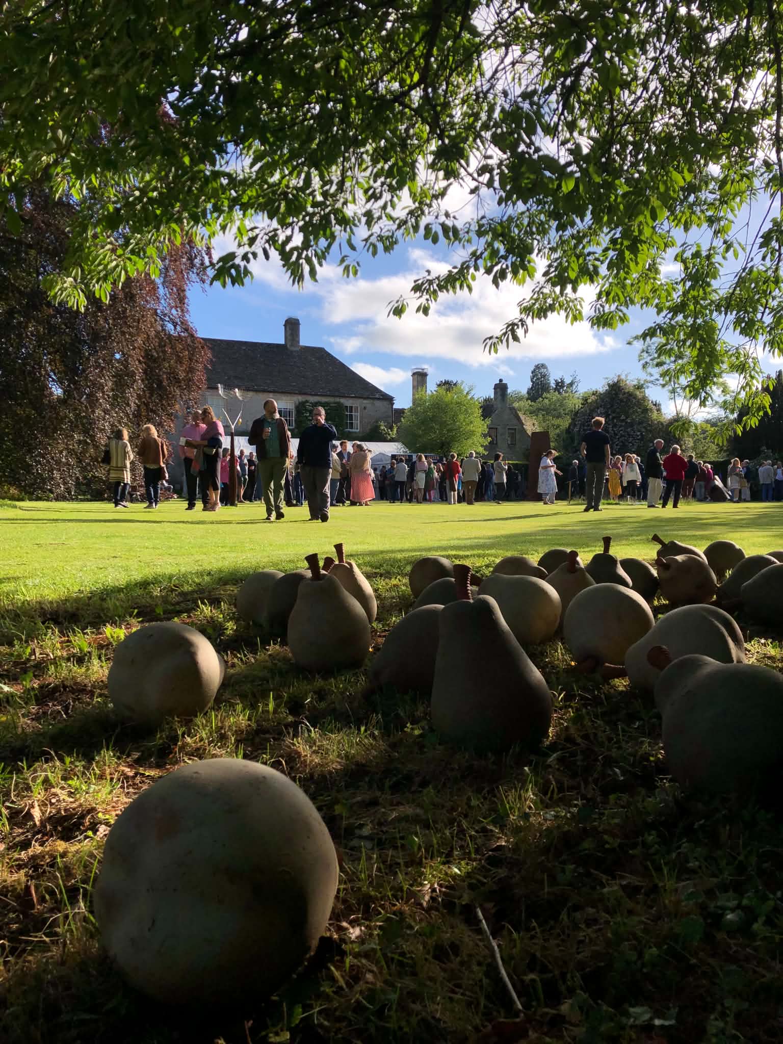 In the foreground in the shadow of a large tree, a collection of football sized sculptural pears bade by artist jon williams from eastnor pottery. In the middle ground a n evening sun drenched lawn. In the background are around fifty people gathered at the preview event of fresh air sculpture