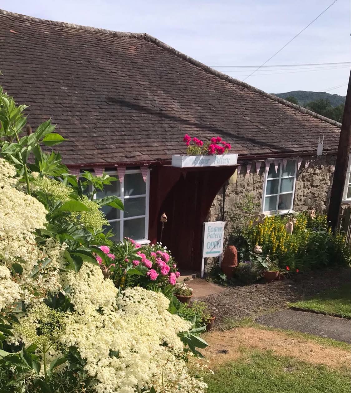 Side view of eastnor pottery with white elderflowers in the foreground. A pink peony and white open sign either side of the pottery door. There are pink geraniums in a window box above the front door.